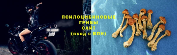 МДПВ Навашино