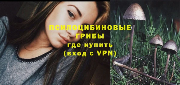 МДПВ Навашино