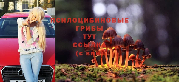 МДПВ Навашино