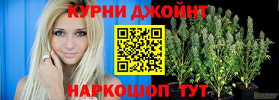 хмурый Гай