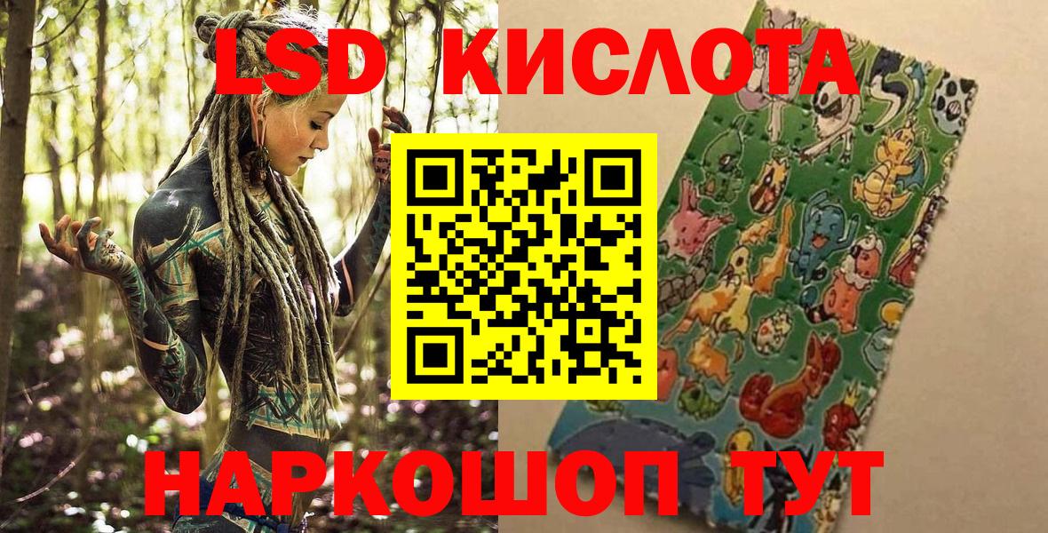 Псилоцибиновые грибы Электрогорск