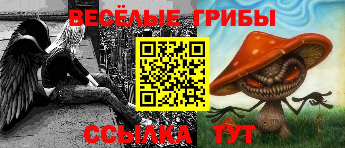 Галлюциногенные грибы Psilocybe Электрогорск