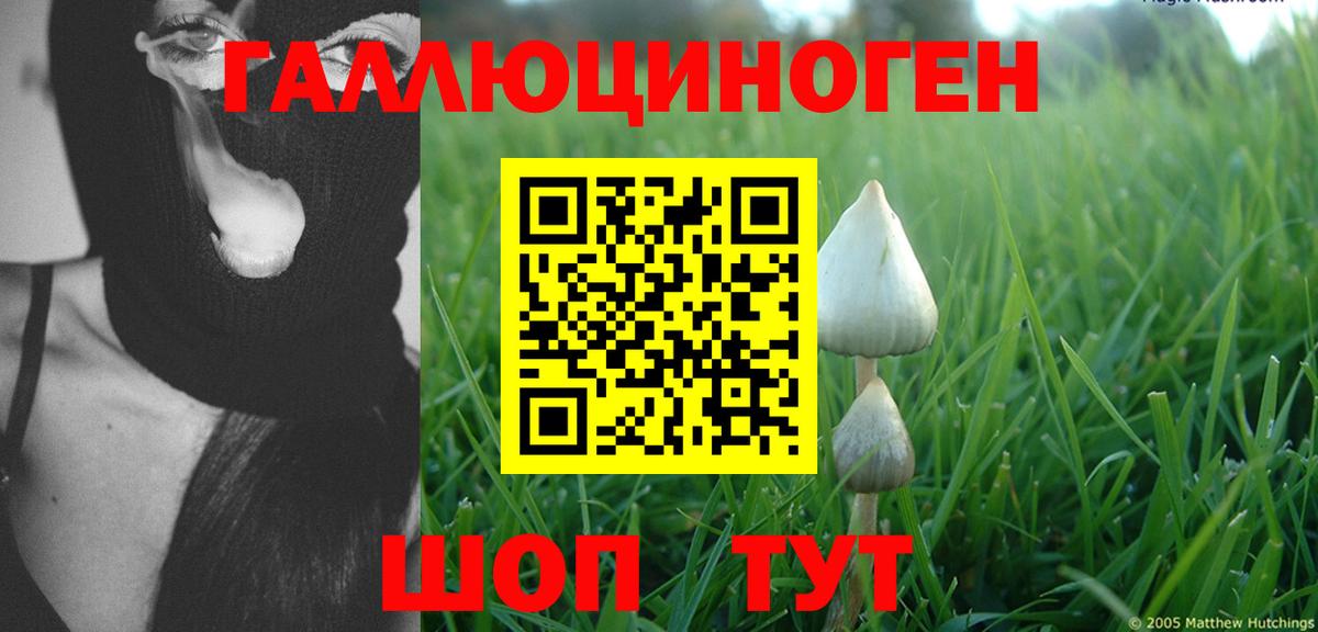 Галлюциногенные грибы мухоморы Электрогорск